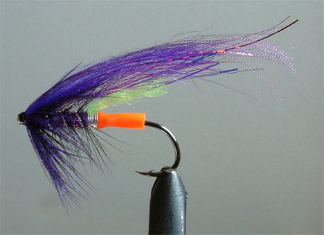 Purple Overtaker