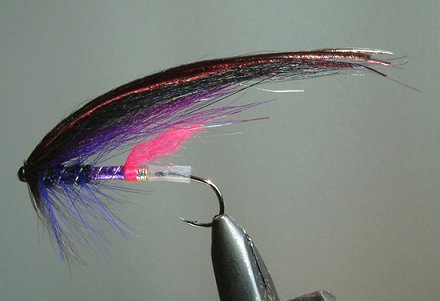 Steely #1