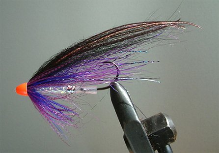 Purple Red Coneheader