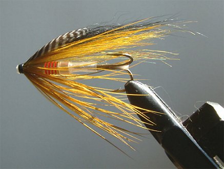 Golden Olive Spey
