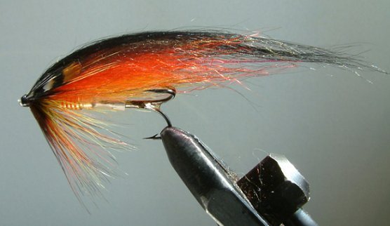 Shonguj, A Jurij (Yuri) Shumakov Fly