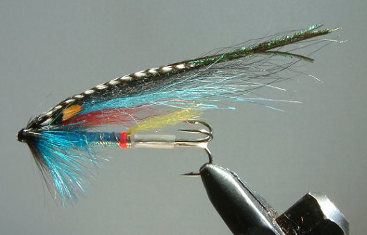 Litza Blue, A Jurij (Yuri) Shumakov Fly