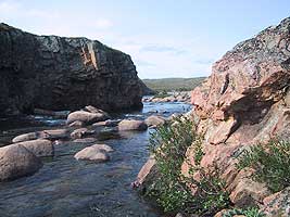 р. Золотая, июль